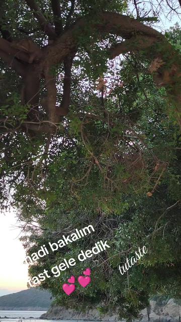 @ᗩᔕᎥ_53❤️🔒❤️💍👩❤️👨