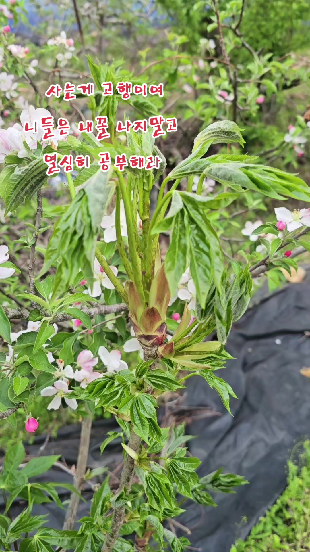 @나는 자연인이다 ~🤪