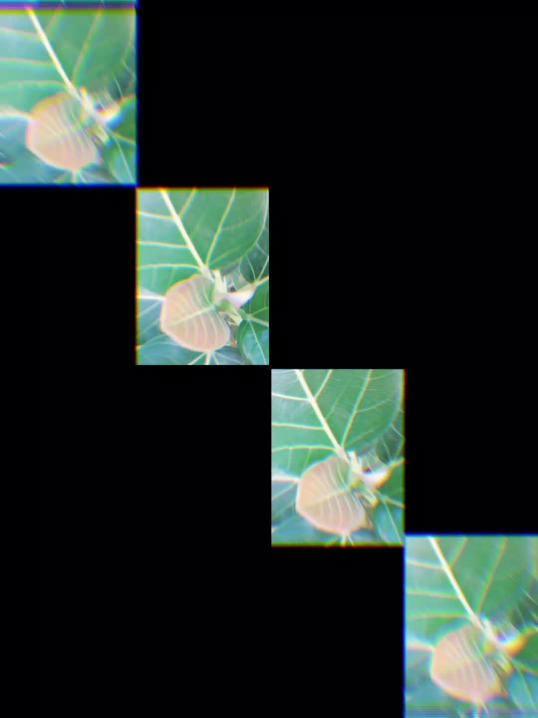@Uthinkithot_Capcut organic