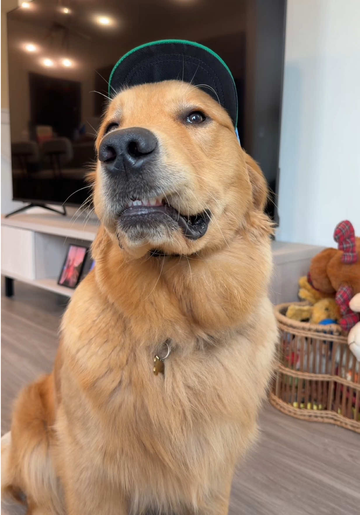 @Teddy🧸