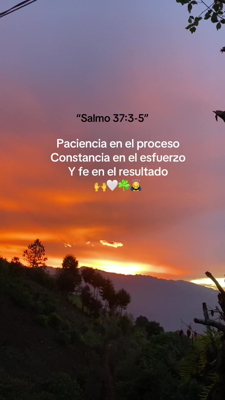 @🤍🌷Sucely🌷👑