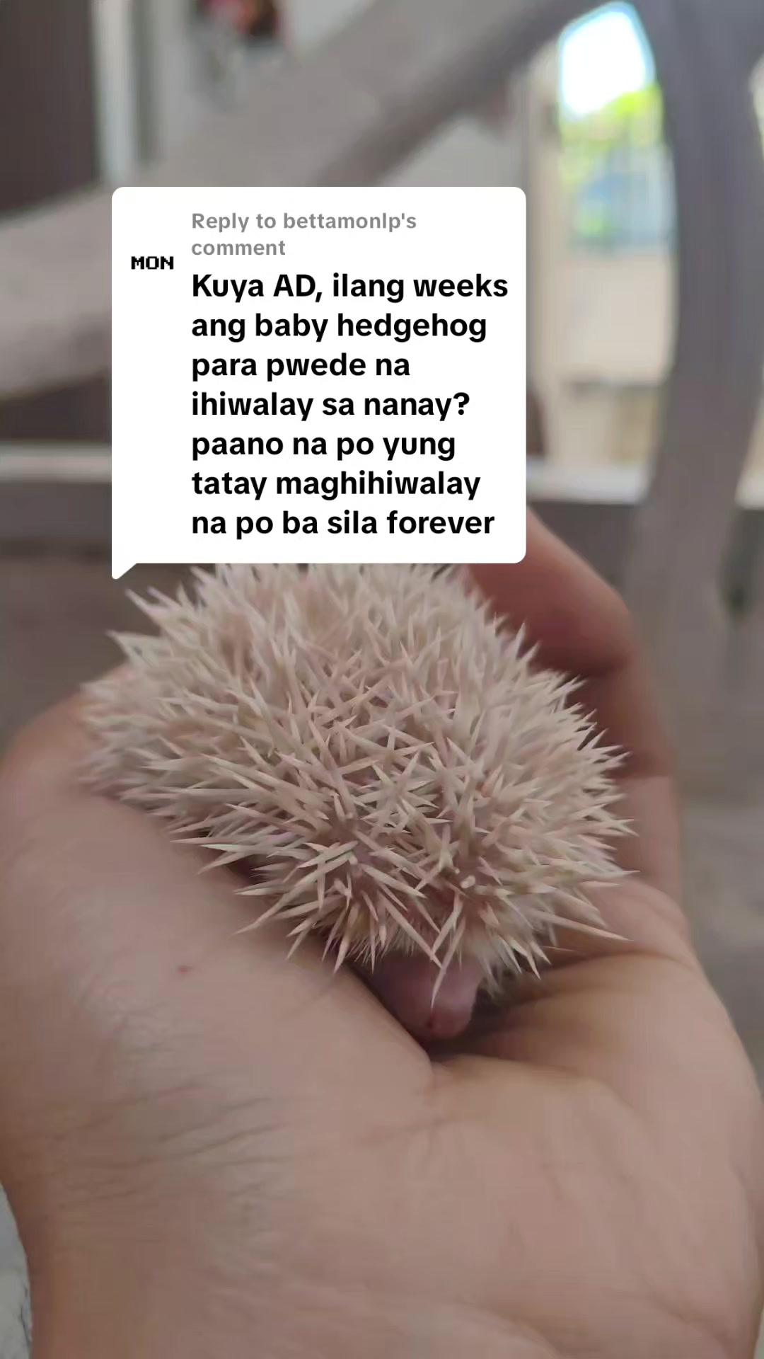 @Kuya AD