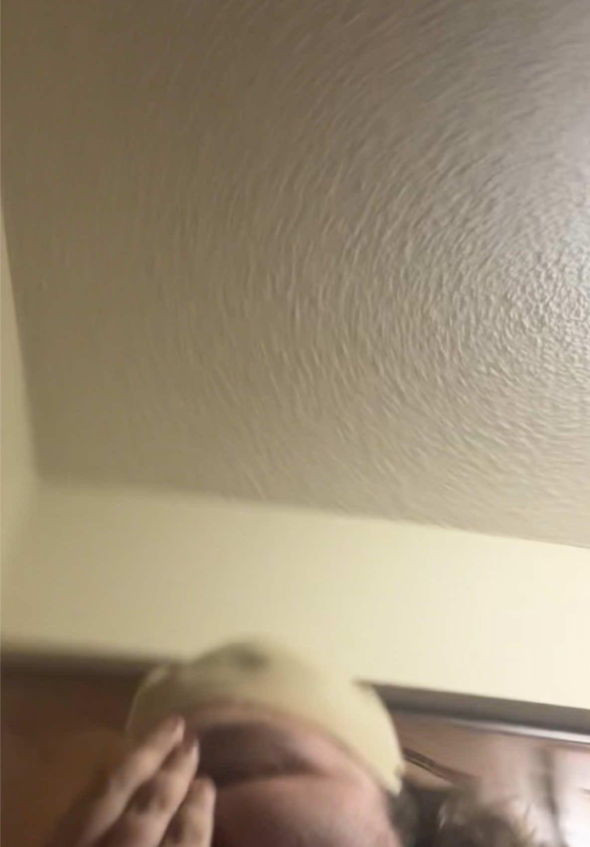 @nick.knock.lets.bop