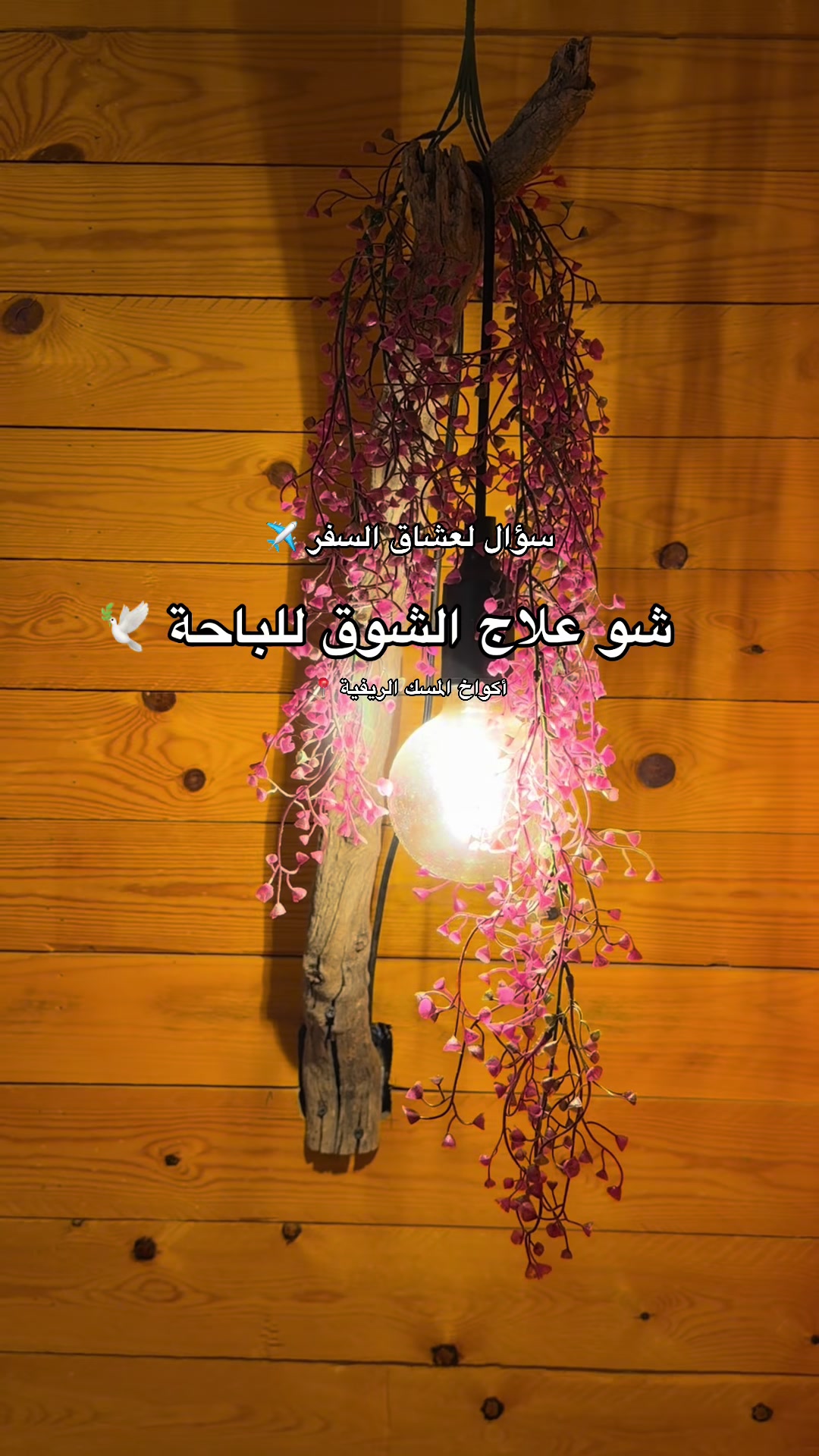 @محمد الشحي ✈️🇦🇪