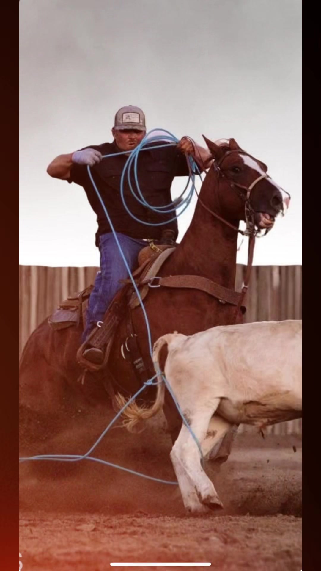 @Cord Forzano Rope Horses