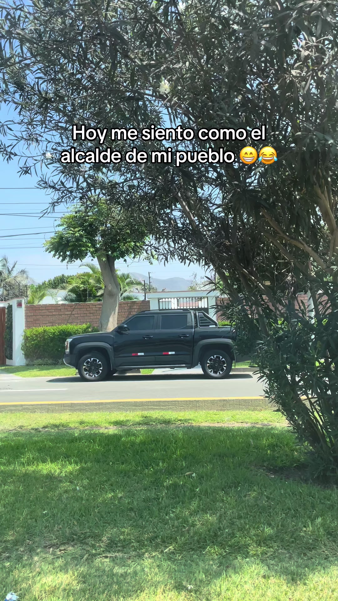 @luzbelizario