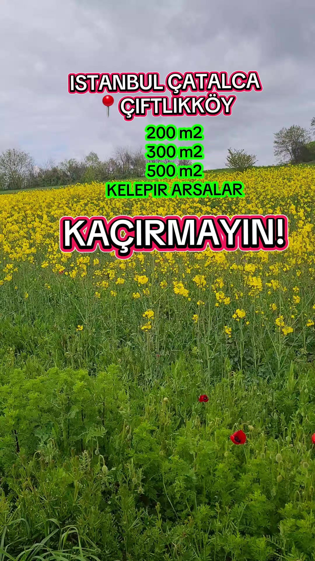 @usta grup