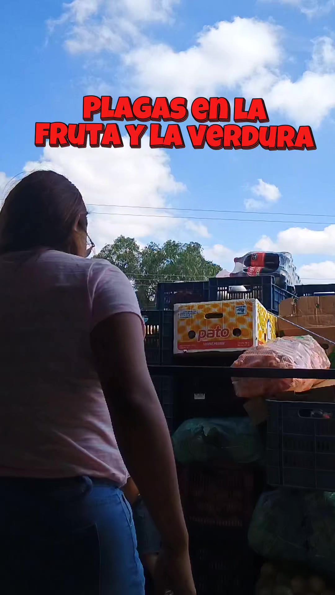 @Conecta-dos
