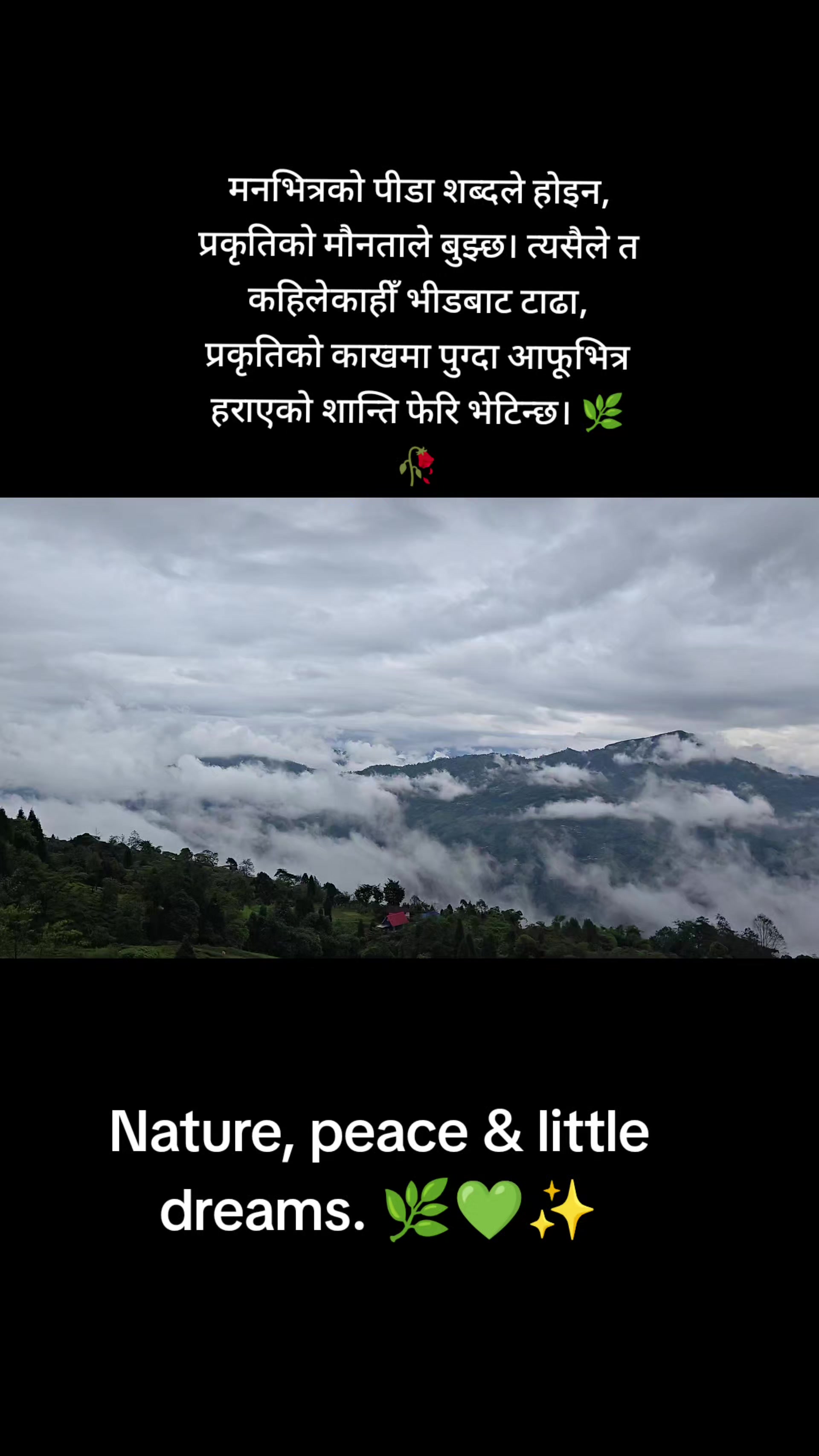 @1992Aug13