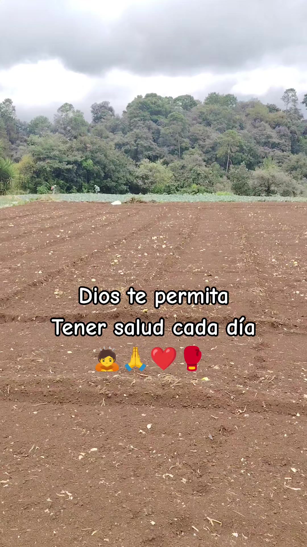 @Moralesguatemala_๐ฌ๐น๐ฌ๐น๐ฏ