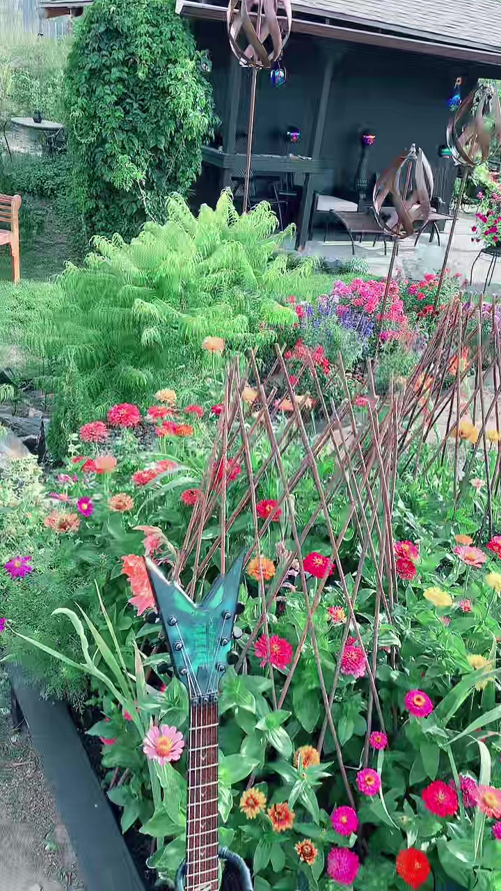@Garden alive