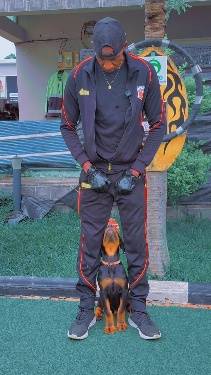 @Dog Master