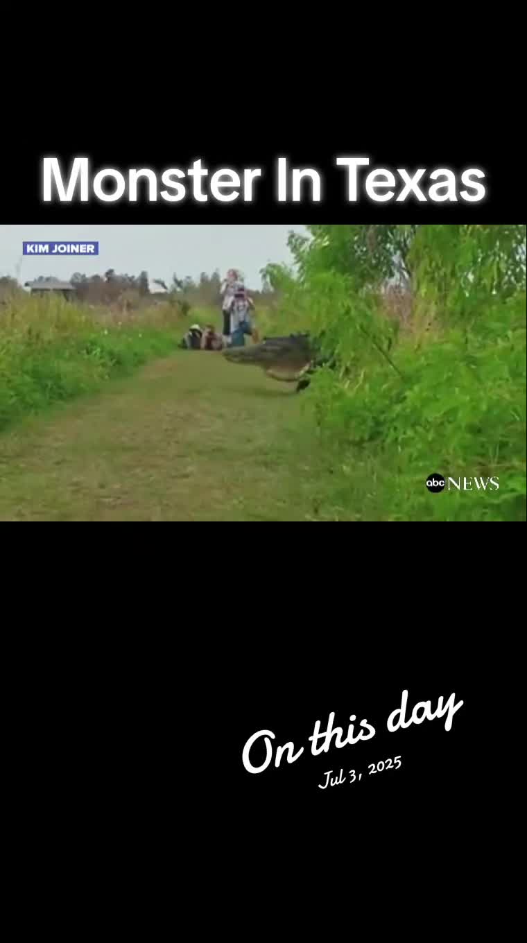@kjoftiktok