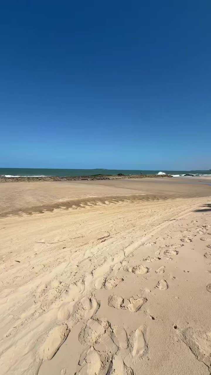@Pedro Miguel