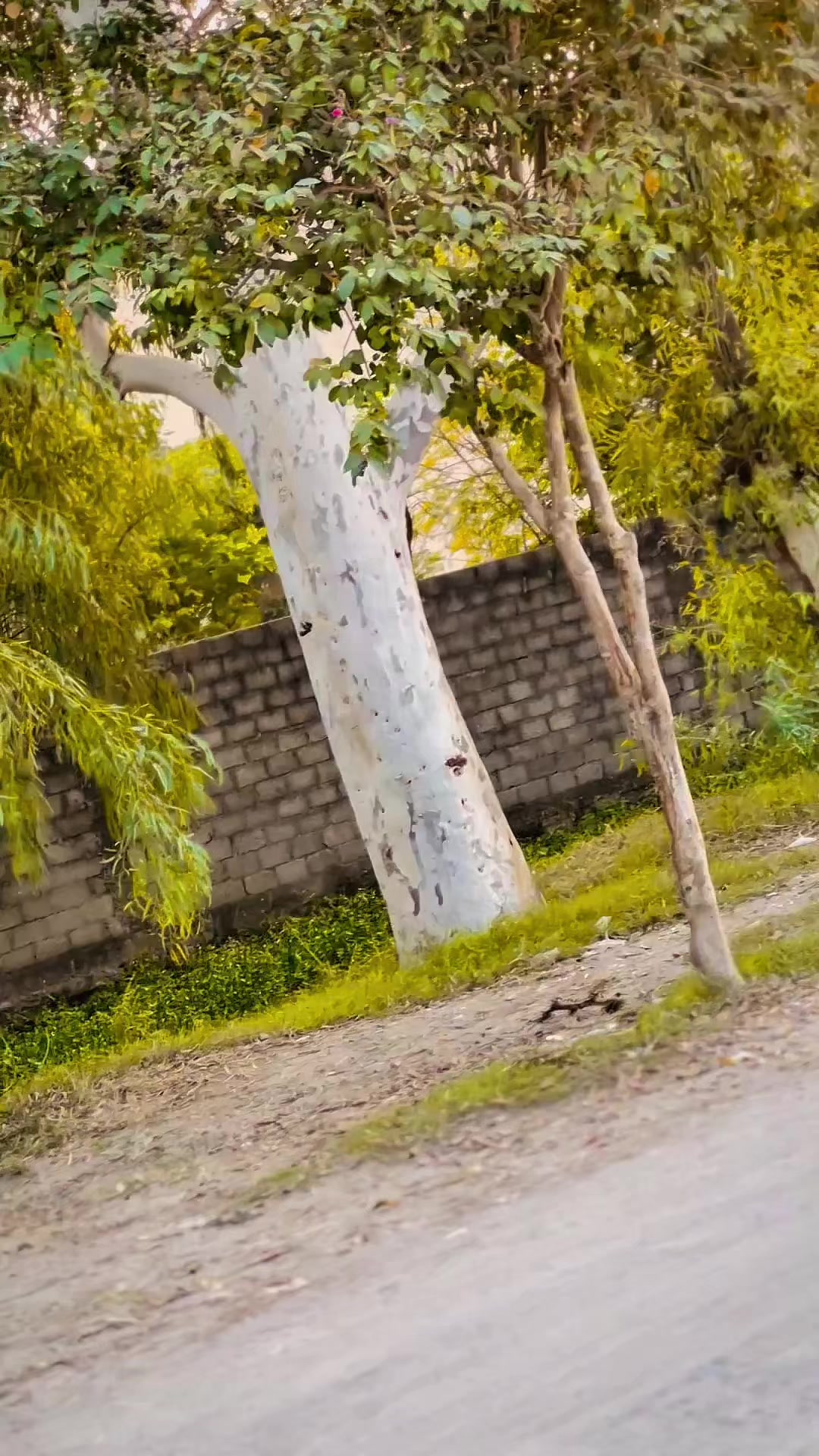 @𝑀𝑈𝑁𝐸𝐸𝑅❤️&zwj;🩹