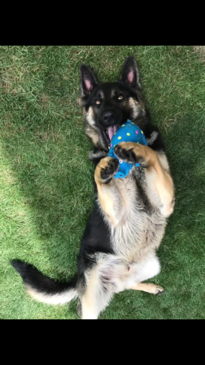 @MERCURY_GSD_24_7