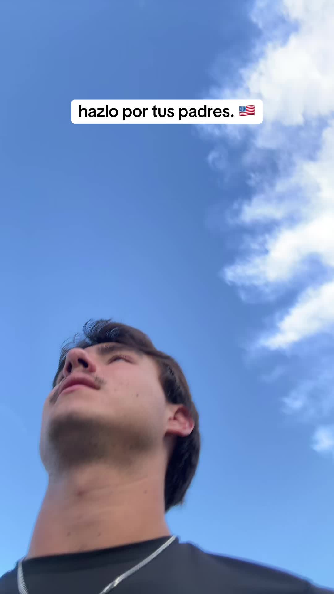 @mendiolaenusa