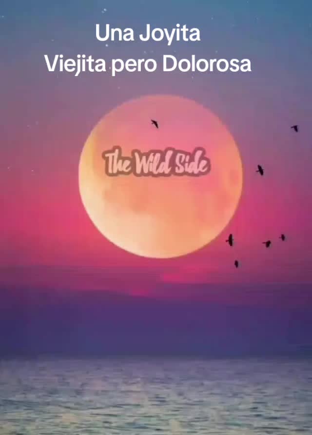 @GarBel87