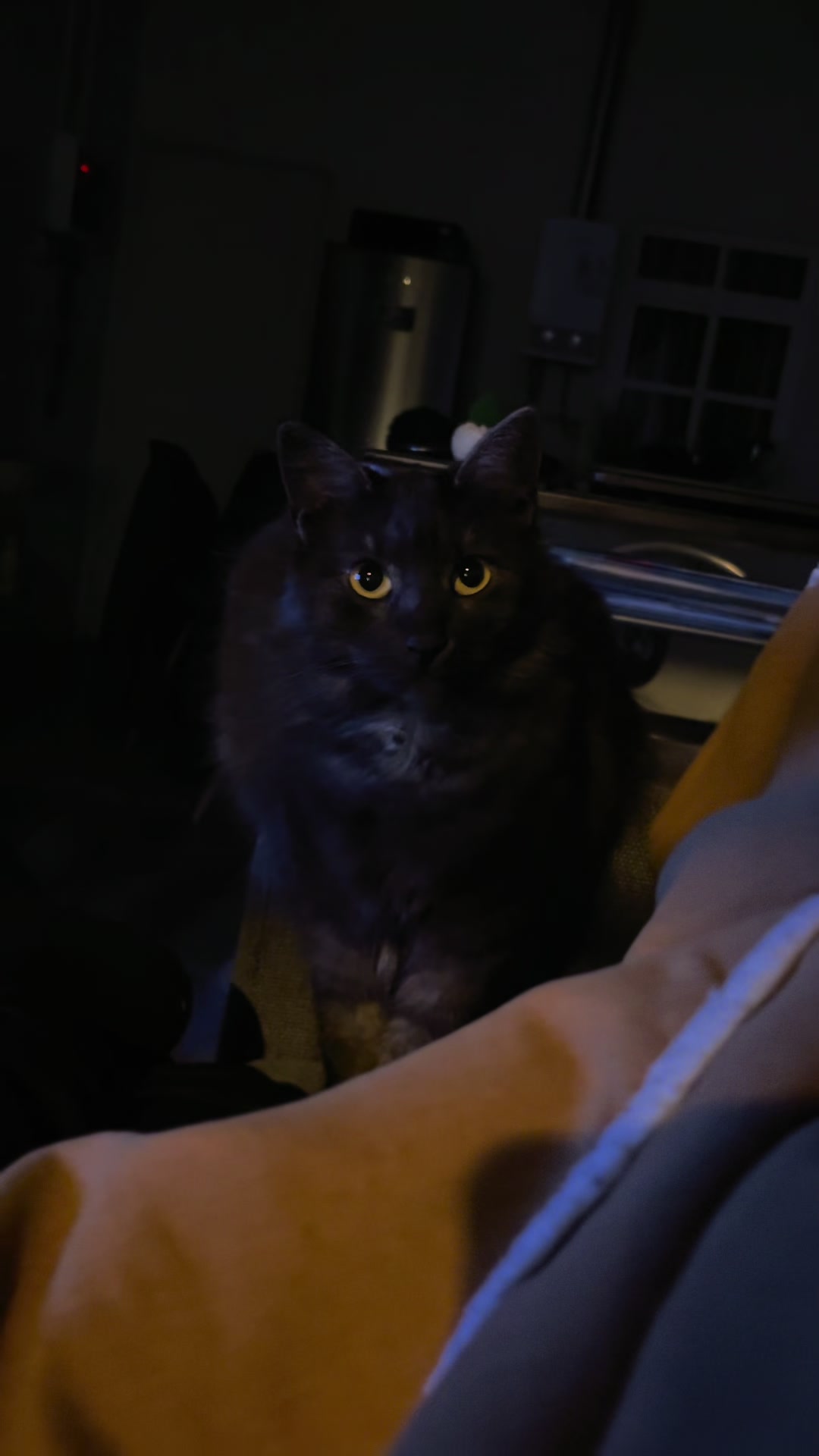 @KIRACAT