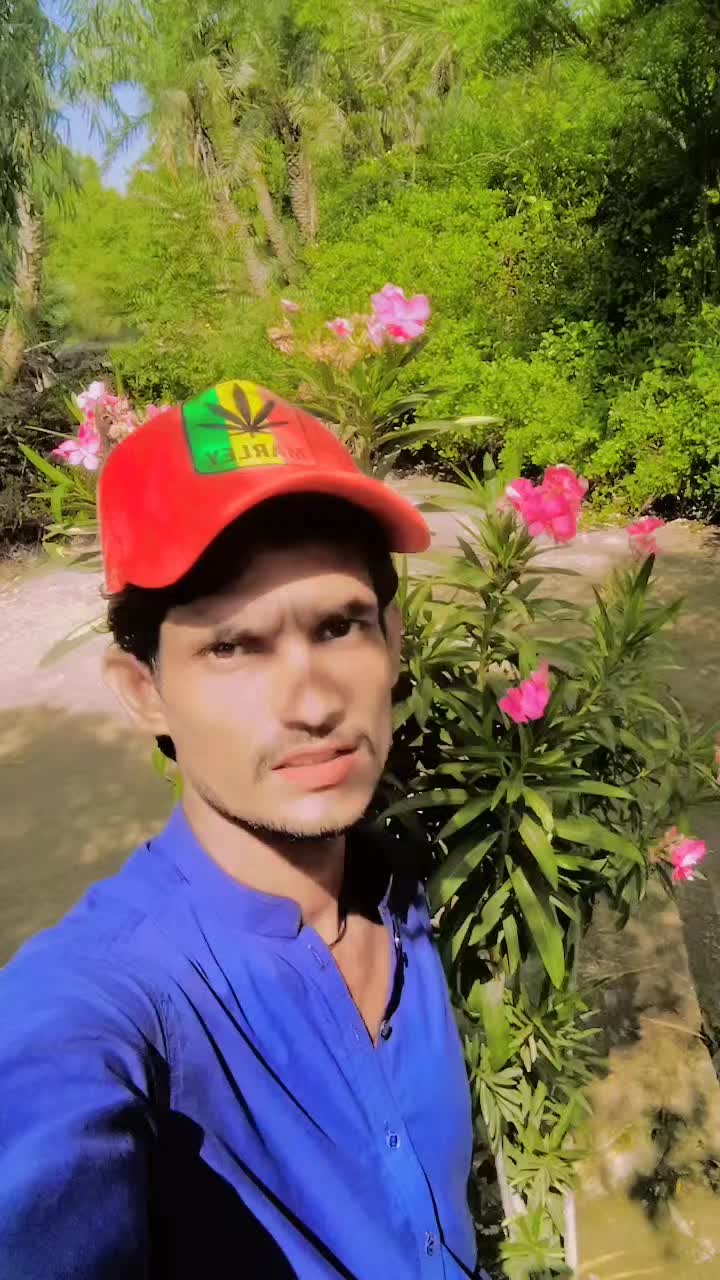 @user3094258369918