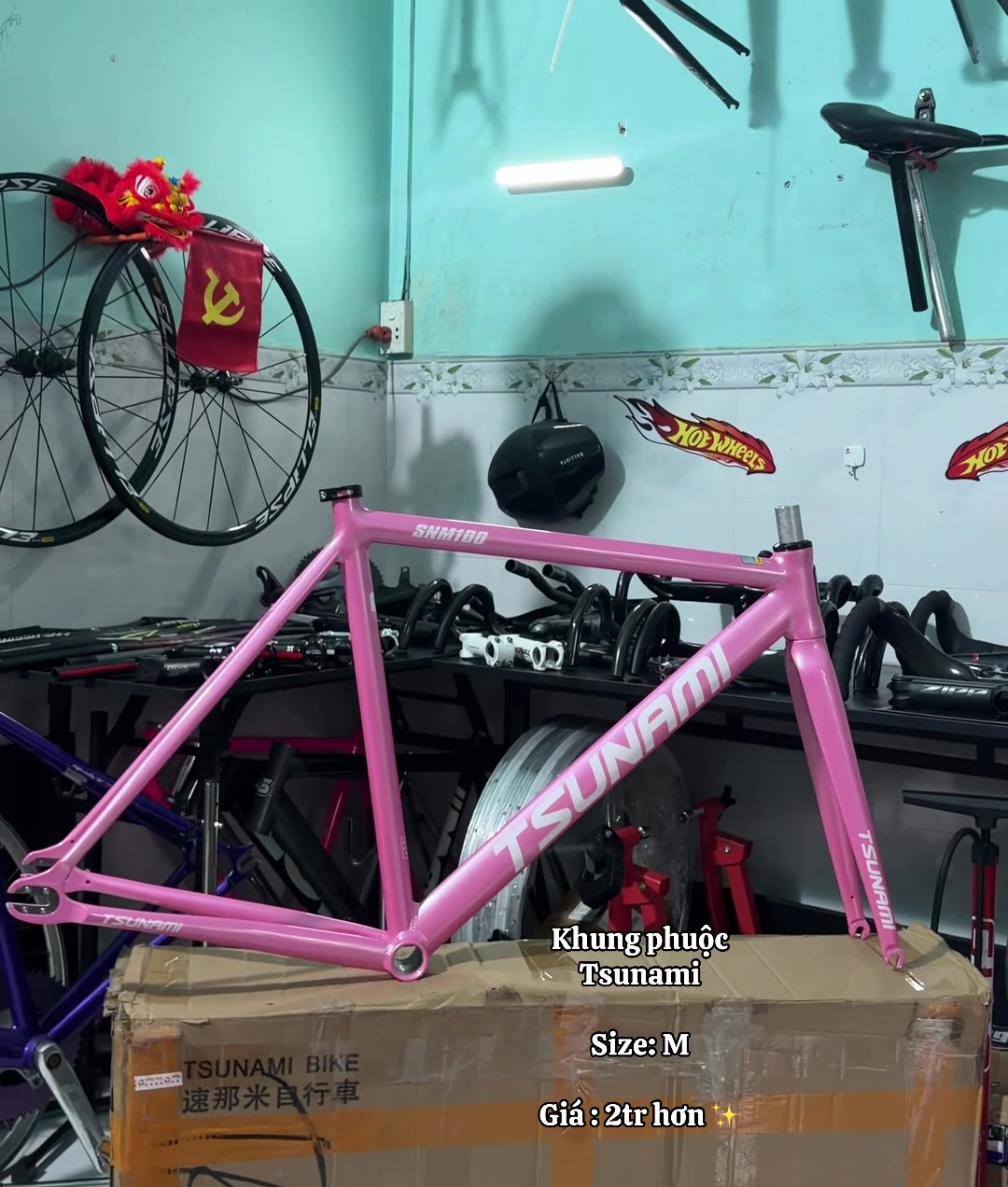@Fixed Gear No1