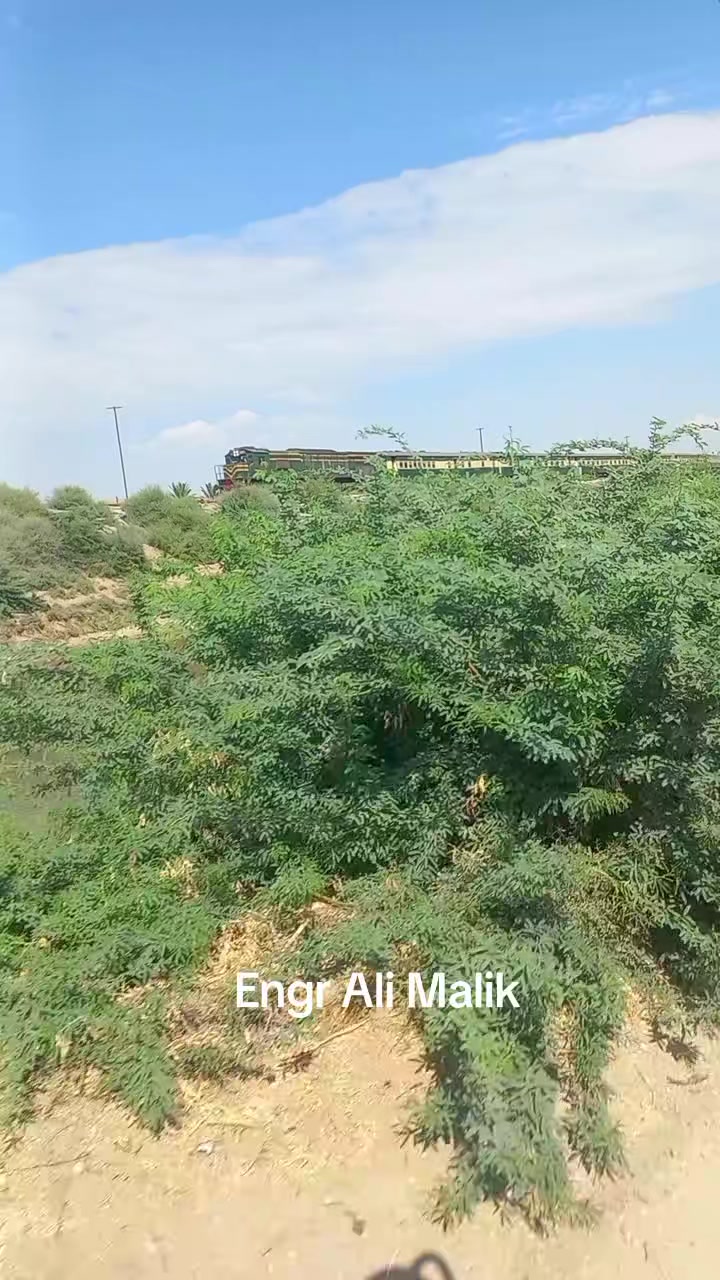 @انجینیر علی ملک