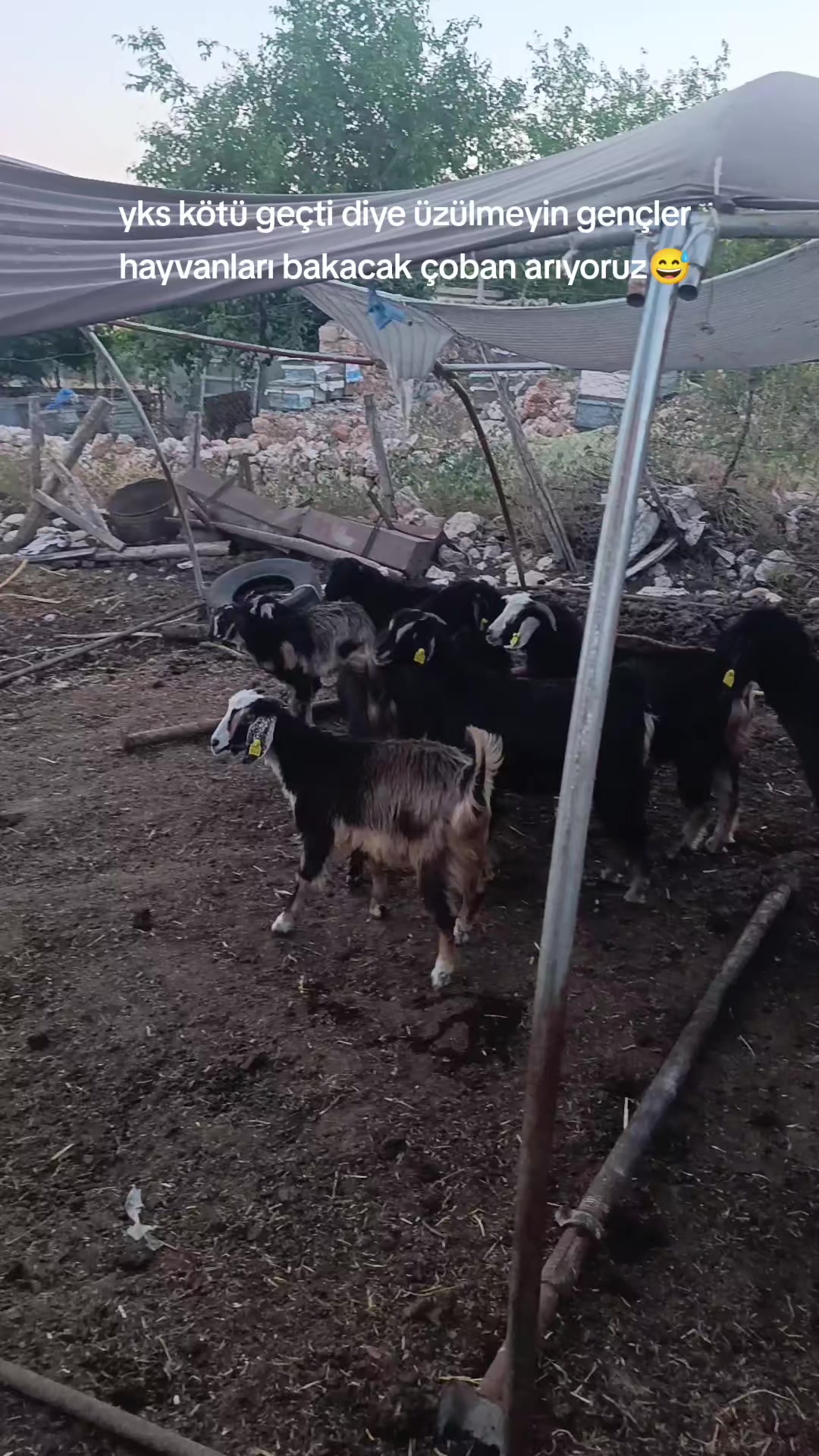@⚔️ENES &Ccedil;ETİN⚔️