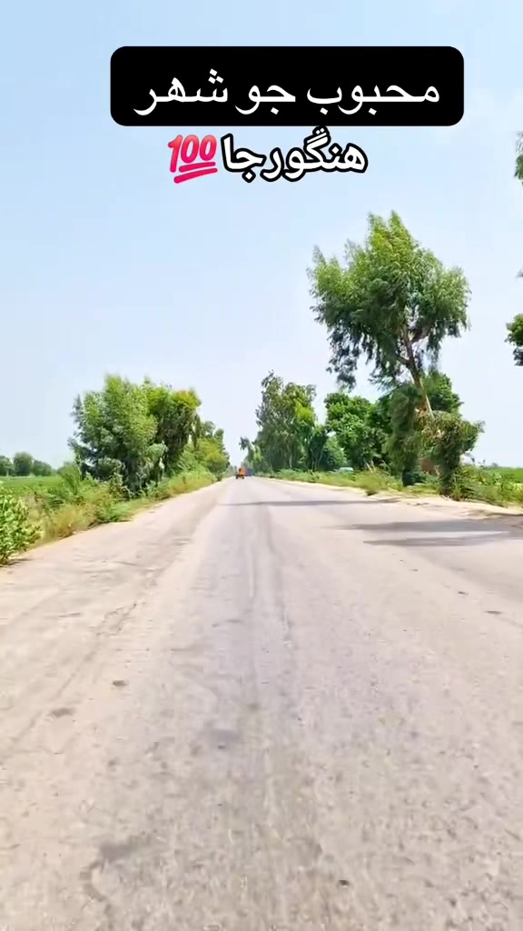 @hingorjaviewpoint