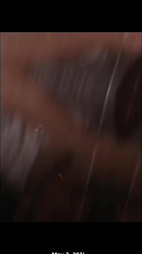 @Basuu💓👀