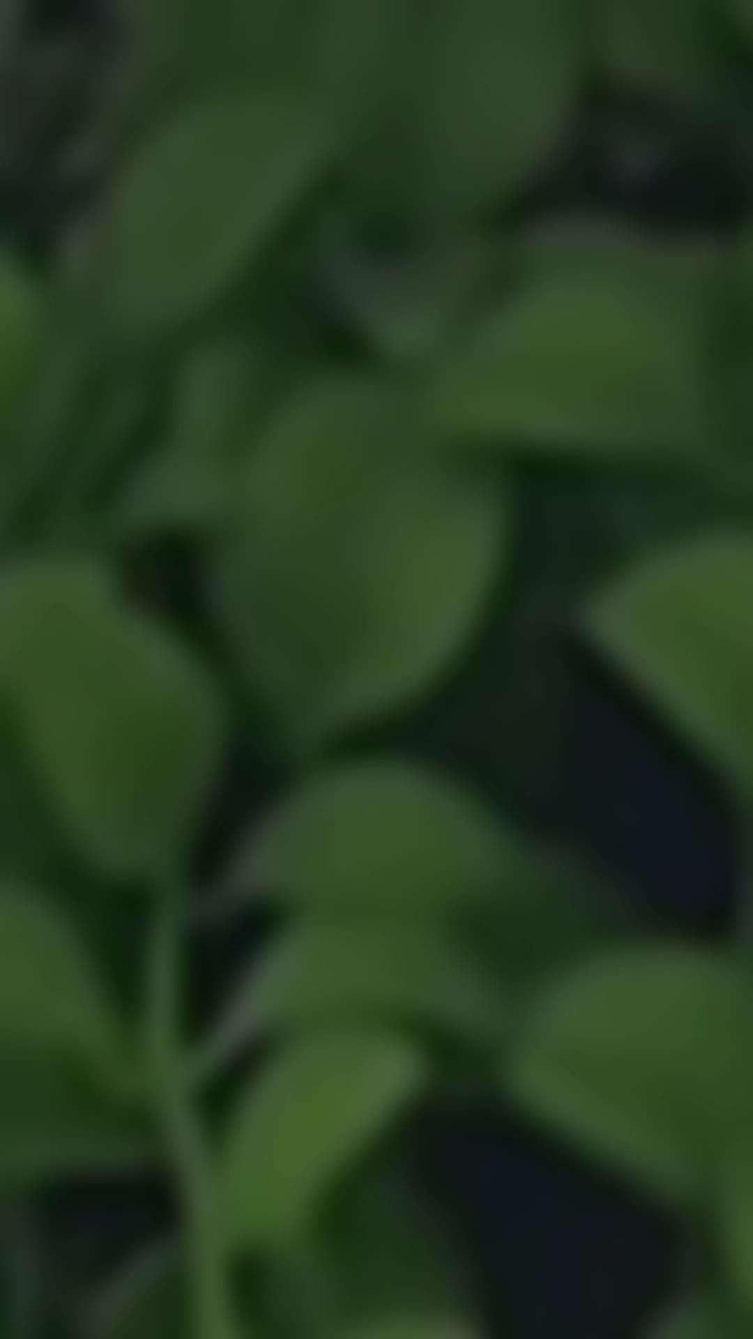 @M&oslash;&uuml;y P&oslash;v