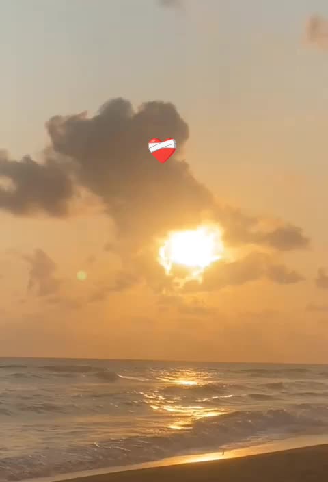 @جنود المصطفى