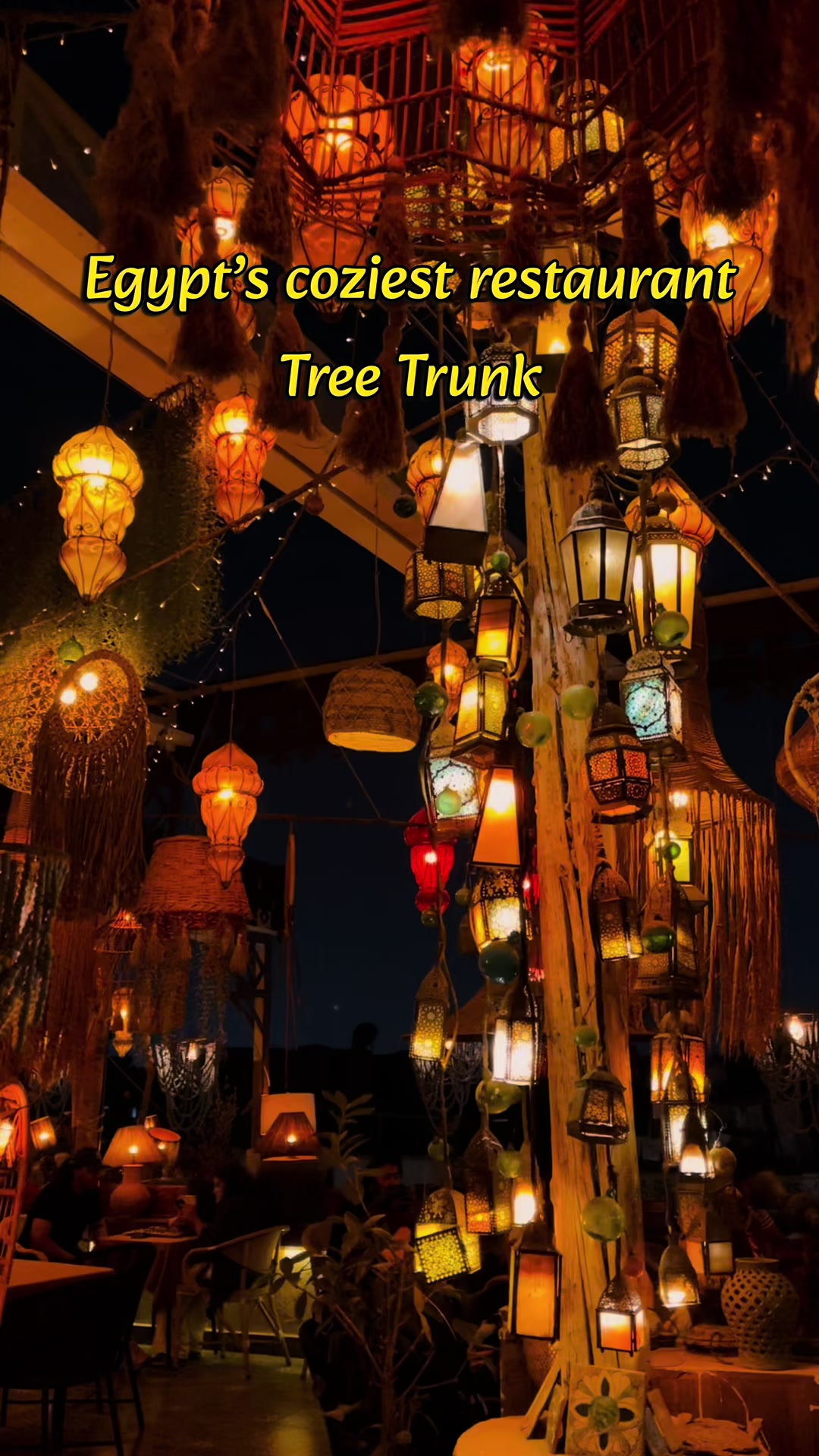 @Tree Trunk