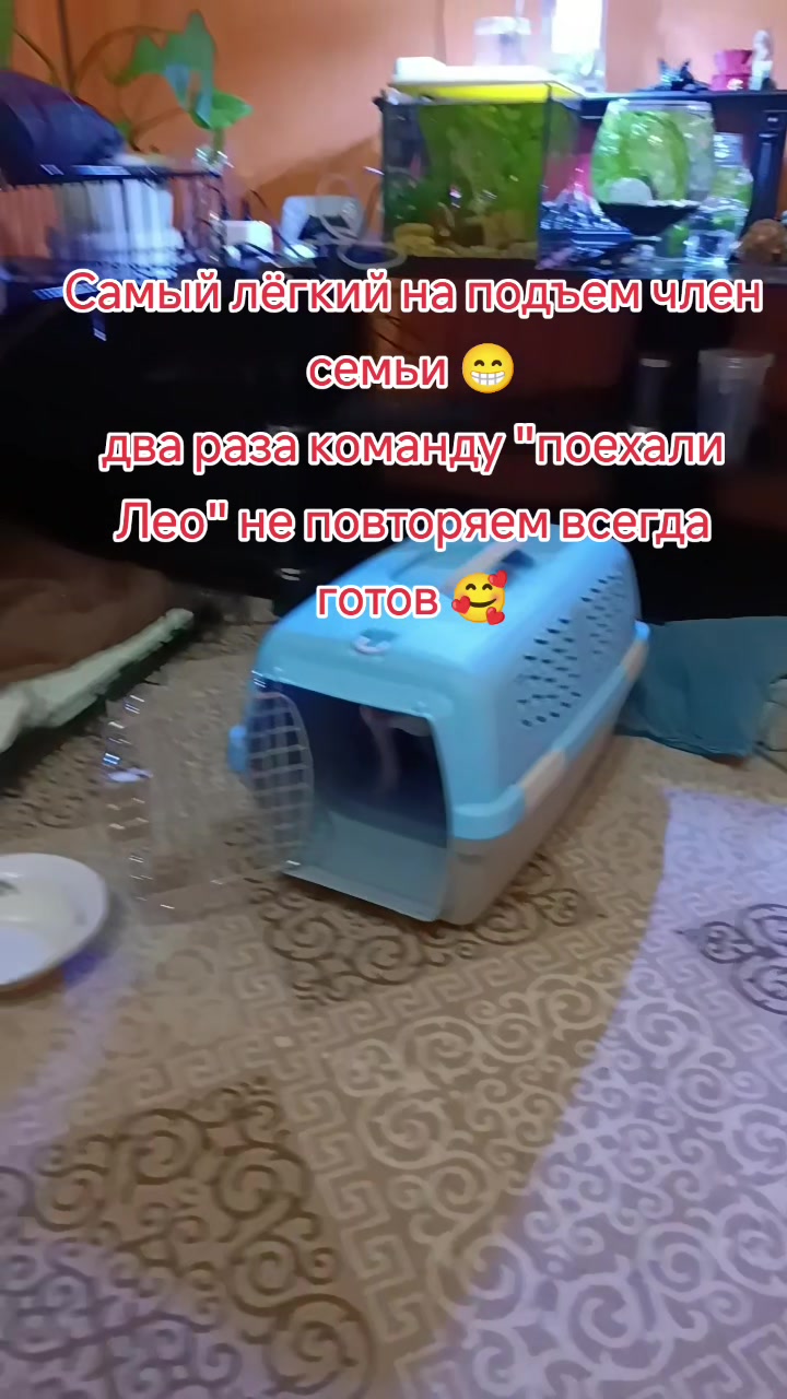 @❤️Анита💙Донецк🖤