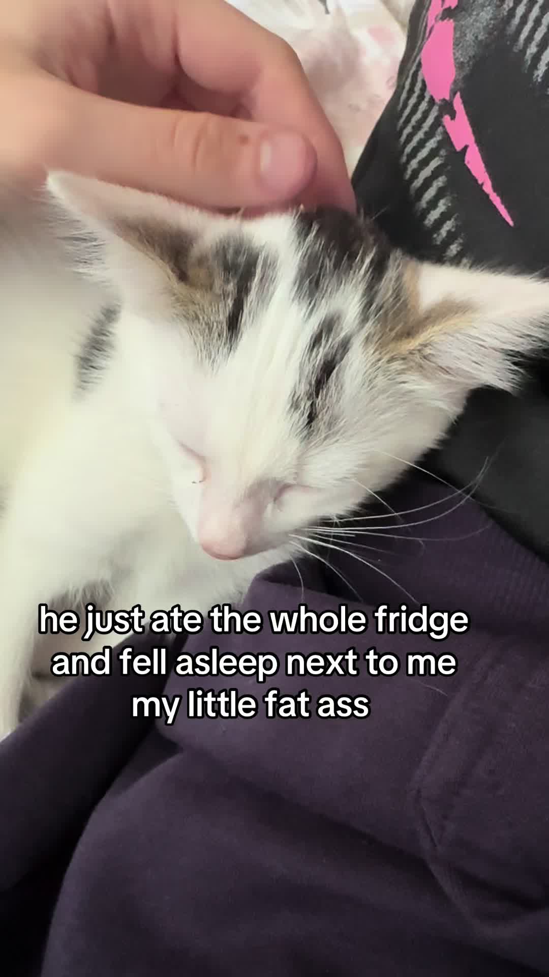 @riuwwj