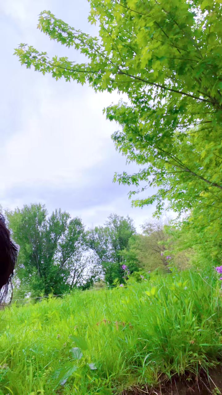 @Maya🌳🌳🌳💜💜💜