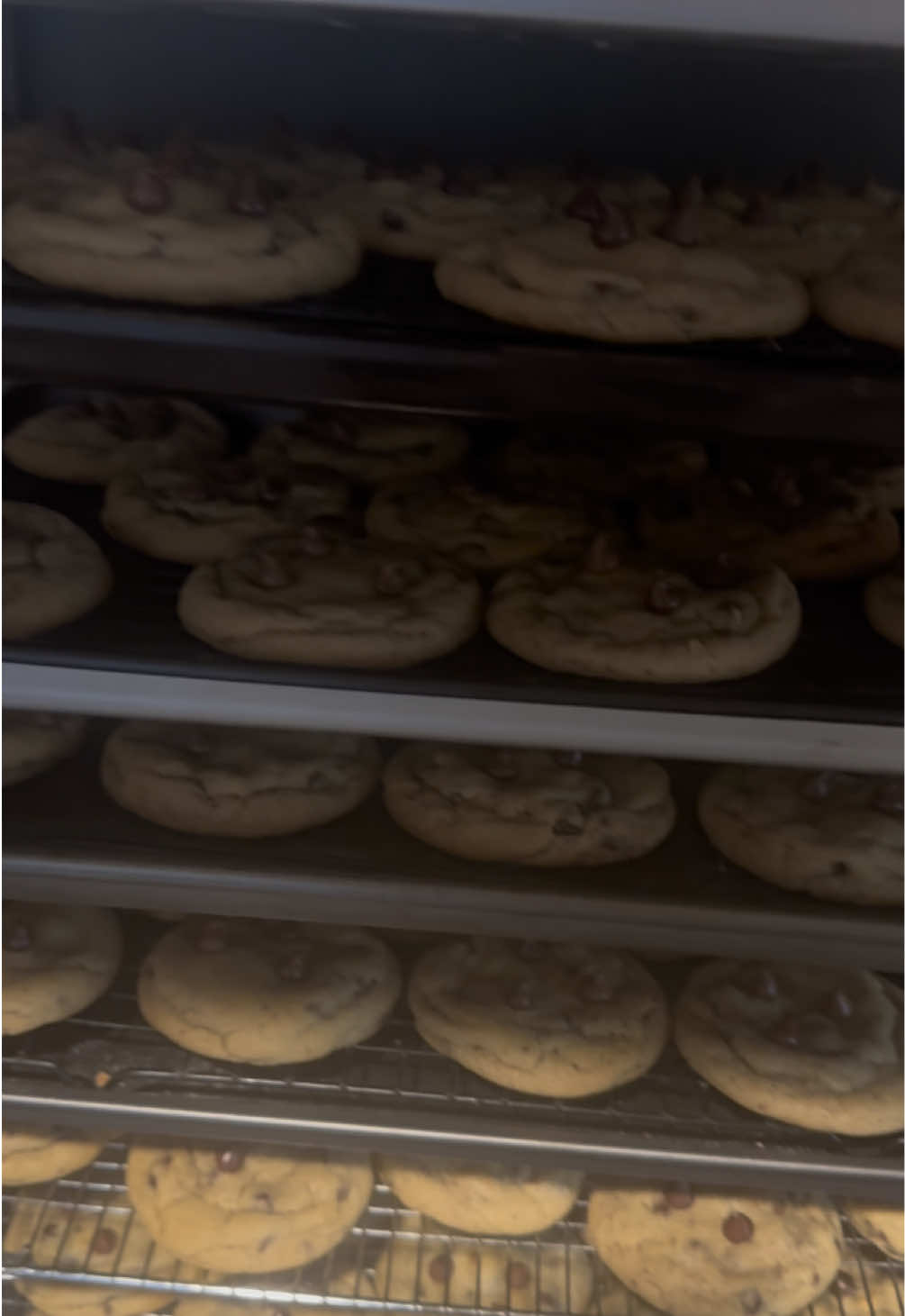 @Marissa | Schoolhouse Snack Co