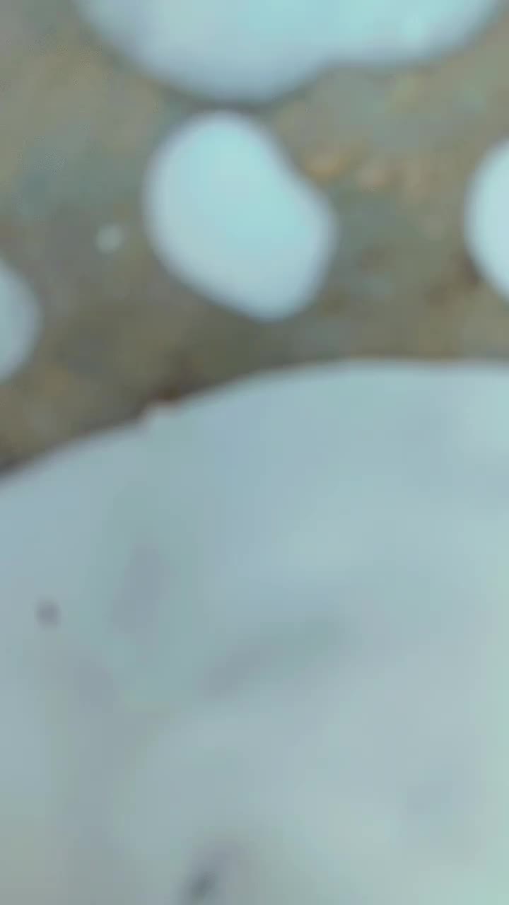 @RubyRao❤️✨️