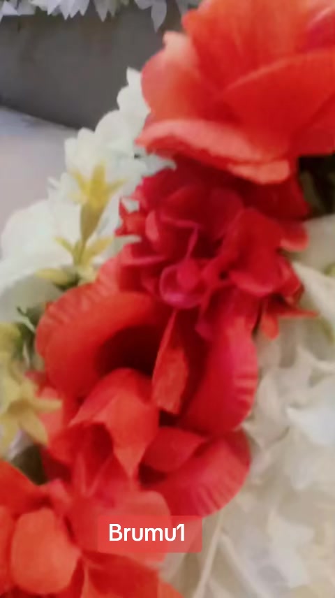 @Brumu 1 Company