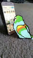 @ᛝrყo ꫂ᭪݁🦜 (ꪀ1 ℘ ɑrrᨵׁׅtfɑׁn)
