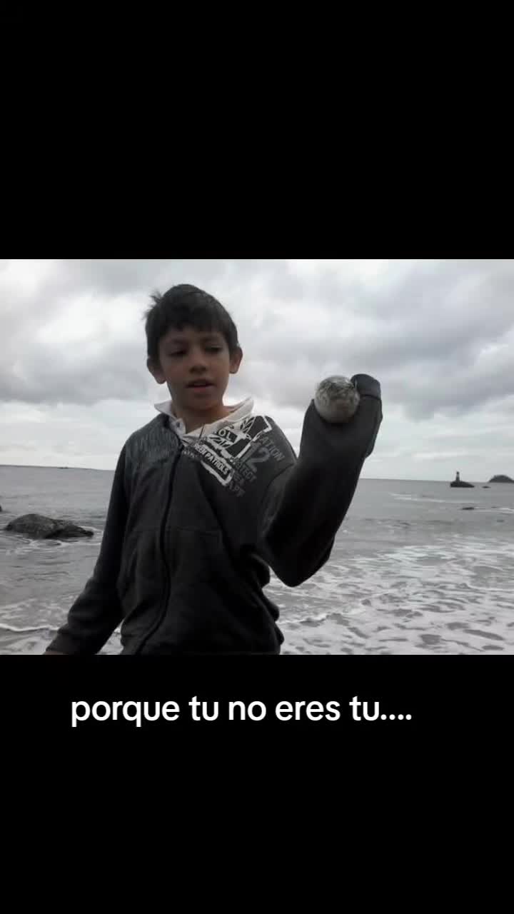 @eo_dkzin_zn