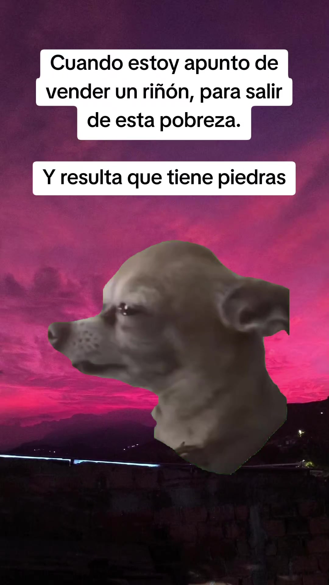 @Luis Carvajal240
