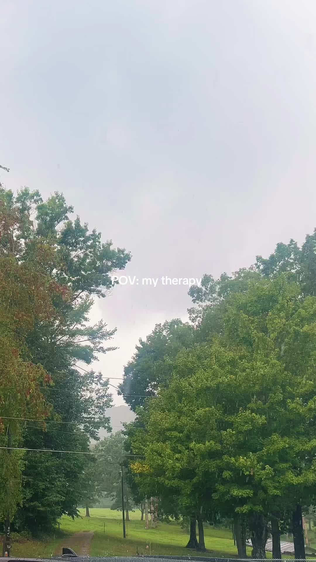 @Alexis 🦋