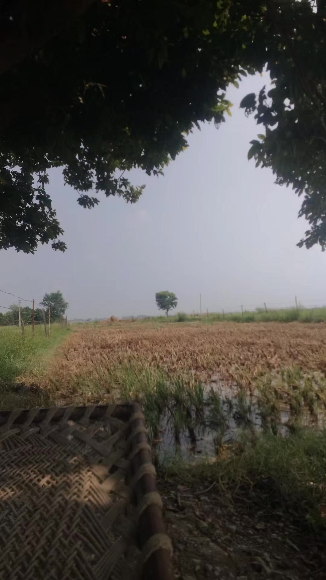 @9706712033