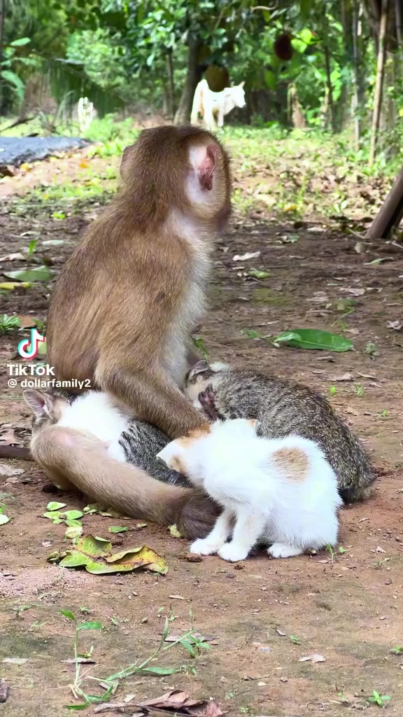 @Rajeeve Krishnan Kutty