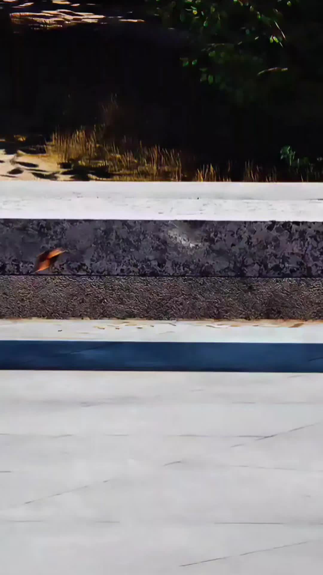 @Sl33pZ