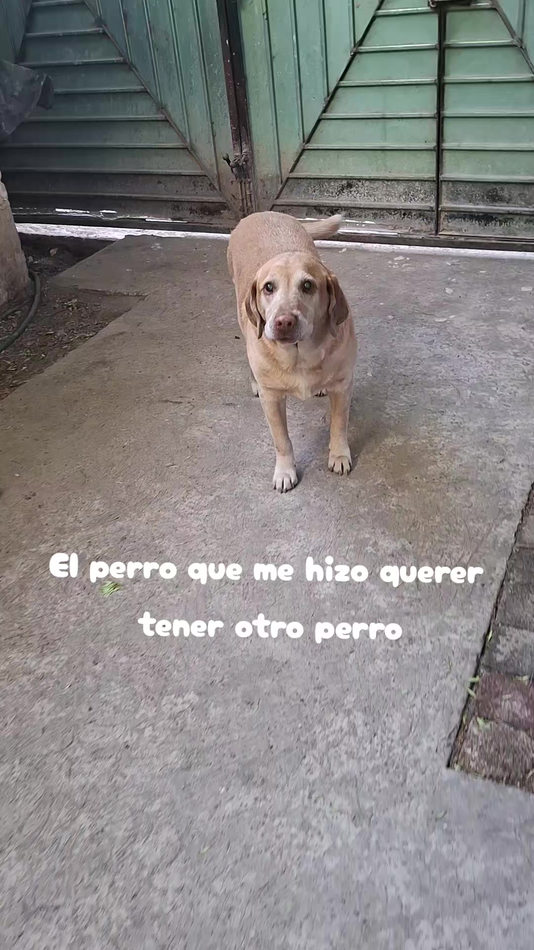 @Bren