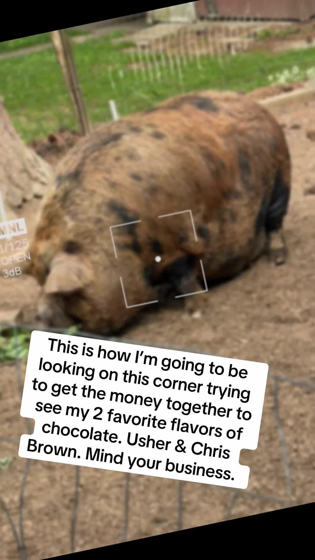 @Gringa121520
