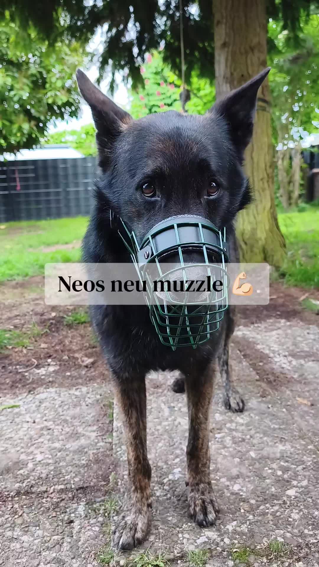@Anna & Neo 🖤🐾