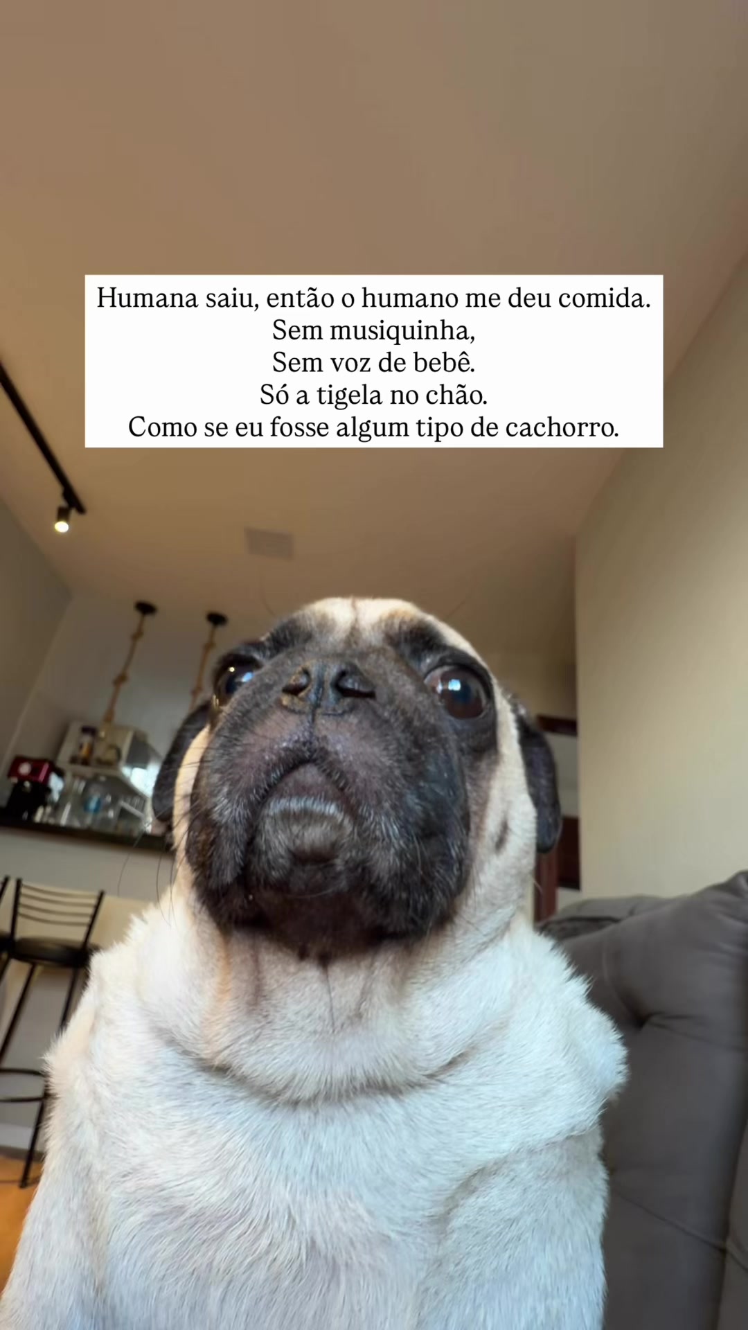 @FRANKINHO