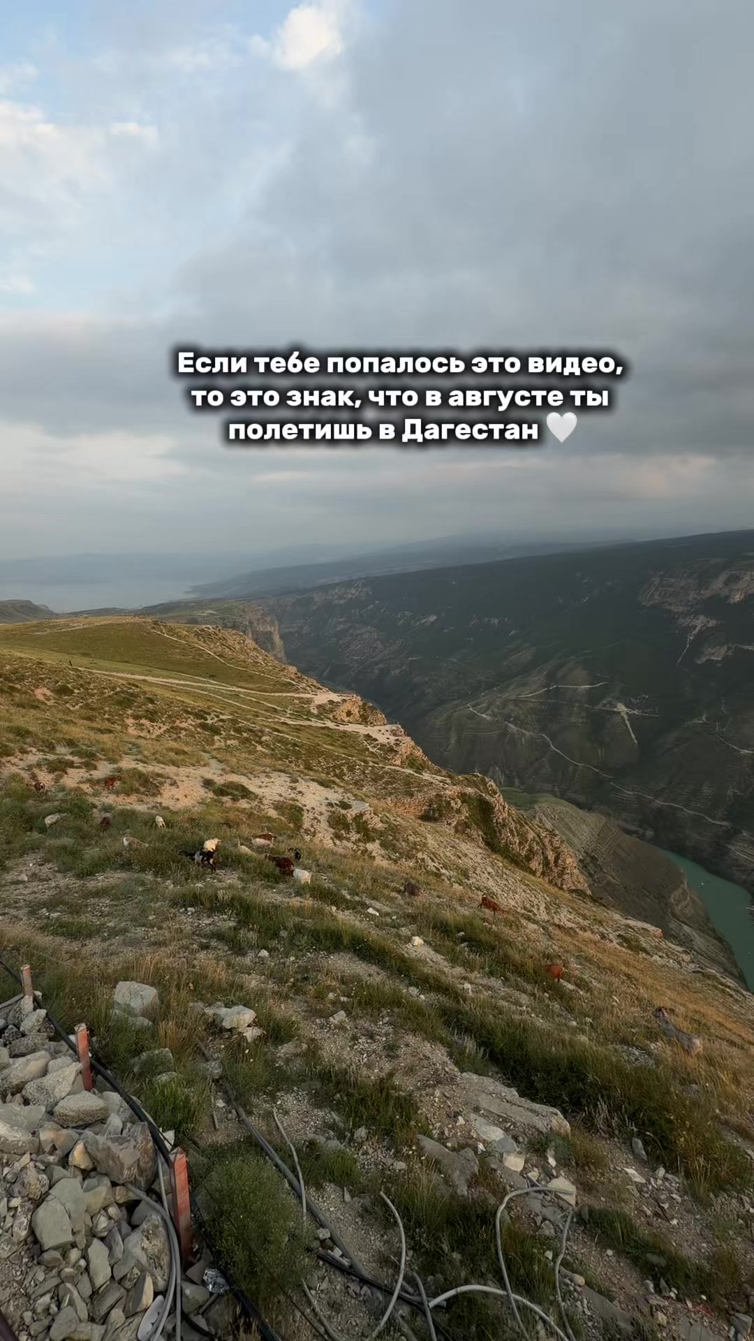 @chalda_travel